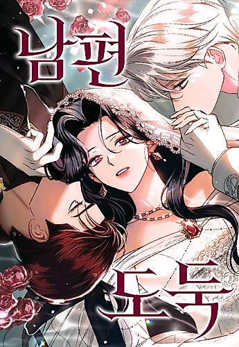 Cover image for Husband Thief