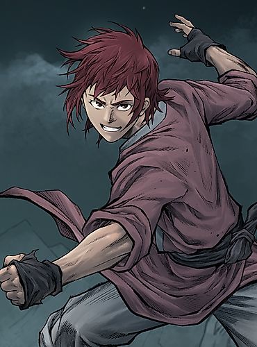 Cover image for Kungfu Transporter