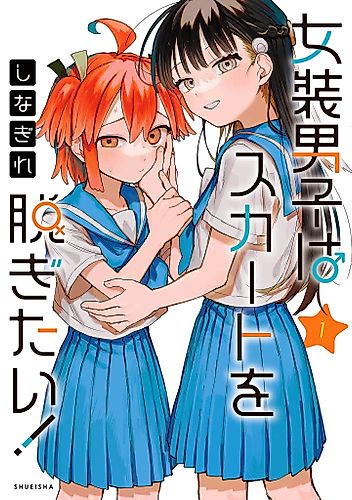 Cover image for The Crossdressing Boy Wants to Take Off His Skirt