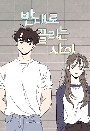 Cover image for Oppositely Attracted