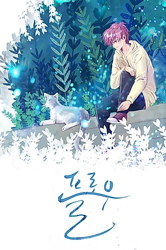Cover image for Flow