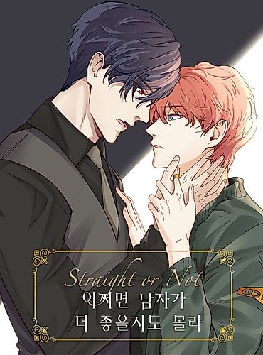 Cover image for Straight or Not