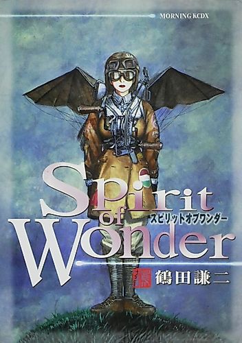 Cover image for Spirit of Wonder