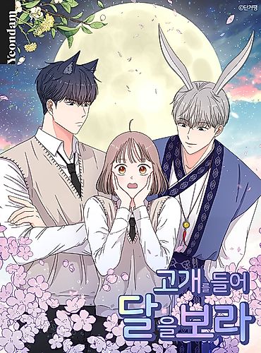 Cover image for Gazing at the Moon