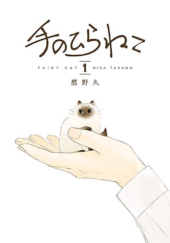 Cover image for Fairy Cat