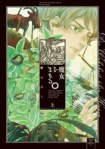 Cover image for Save the Witches.