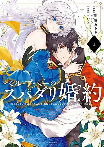 Cover image for The Princess Groom