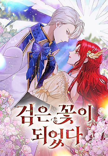 Cover image for The Knight Becomes a Black Flower