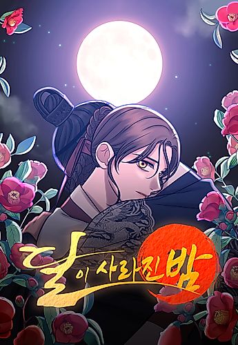 Cover image for Moonless Night
