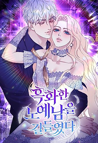 Cover image for Taming the Corrupted