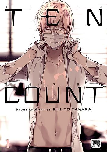 Cover image for Ten Count