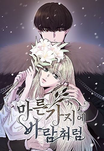 Cover image for Like Wind on a Dry Branch