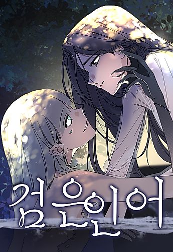 Cover image for Dark Mermaid