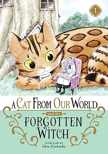 Cover image for A Cat From Our World and the Forgotten Witch