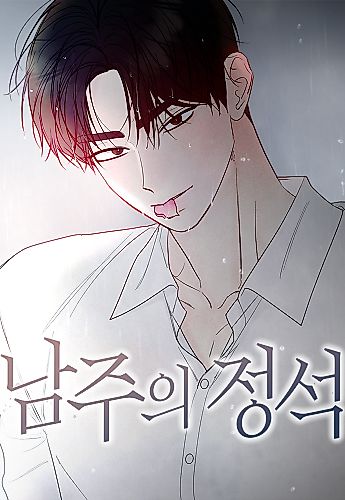 Cover image for The Perfect Male Lead