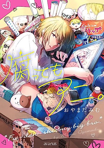 Cover image for BL Fans LOVE My Brother?!