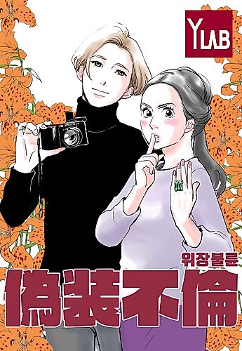 Cover image for A Fake Affair