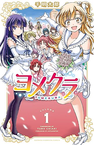 Cover image for Bridal Class