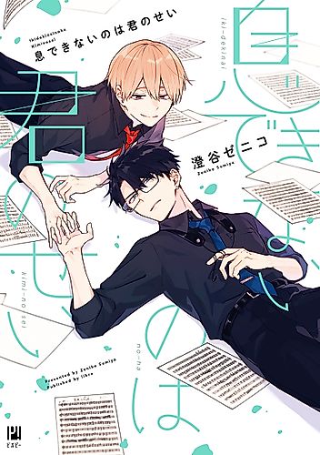 Cover image for Breathless Momentum
