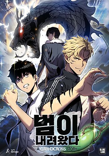 Cover image for Down Came the Tiger