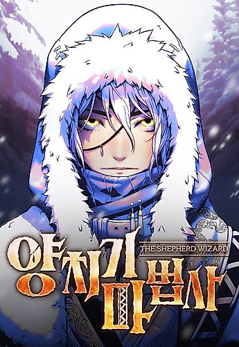 Cover image for The Shepherd Wizard