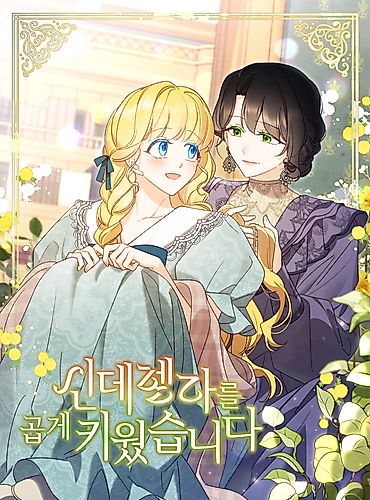 Cover image for A Wicked Tale of Cinderella's Stepmom