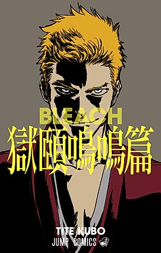 Cover image for Bleach: Special One-Shot