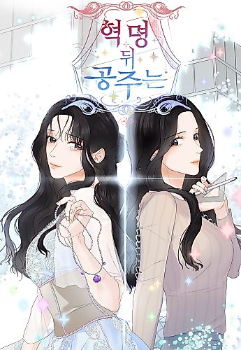 Cover image for The Princess After the Revolution