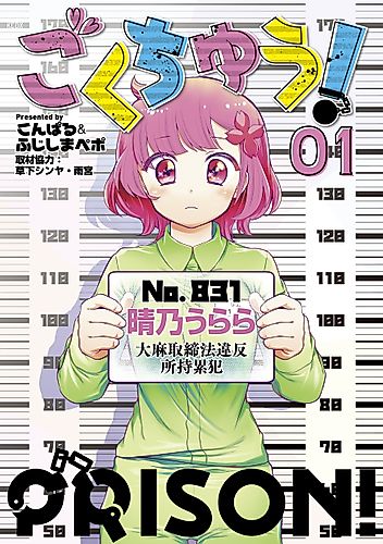 Cover image for Prison!