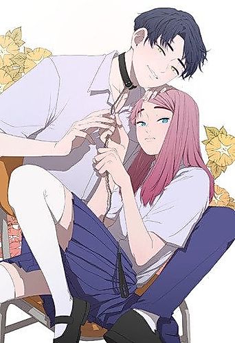 Cover image for Version Day and Night