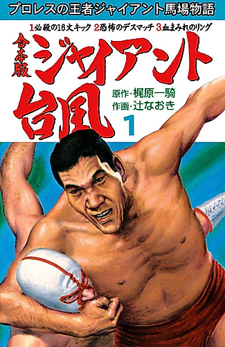 Cover image for Giant Typhoon