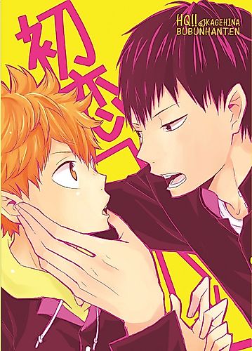 Cover image for Haikyu!! dj - First Love Combat