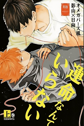 Cover image for Haikyuu!! dj - Unmei Nante Iranai