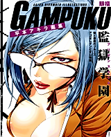 Cover image for Hiramoto Akira Illustrations