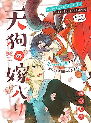 Cover image for Tengu’s Wedding