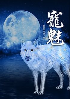 Cover image for The Charm of Soul Pets