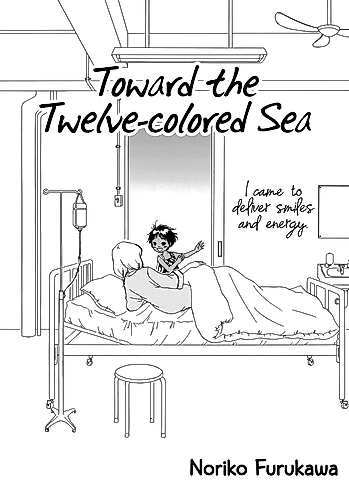 Cover image for Toward the Twelve-colored Sea