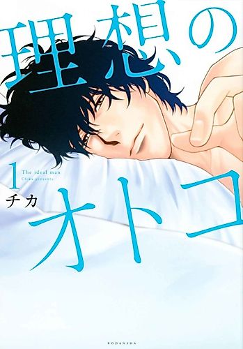 Cover image for The Ideal Man