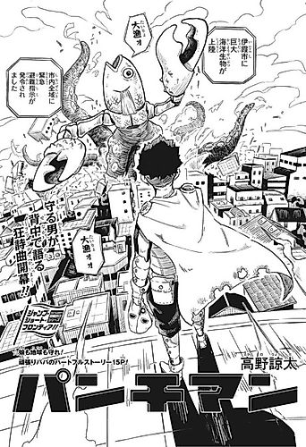 Cover image for Punchman