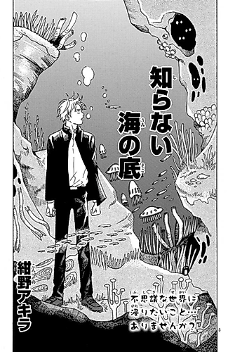 Cover image for Shiranai Umi no Soko