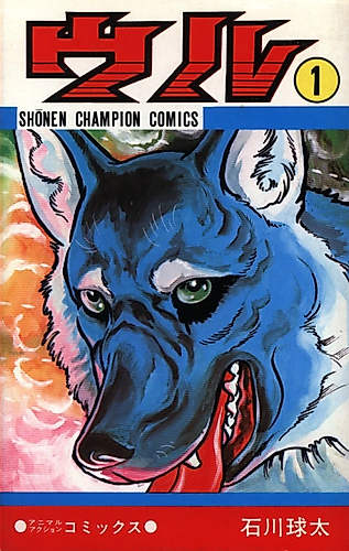 Cover image for Woll
