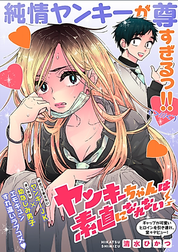 Cover image for Yankee Can't Be Honest