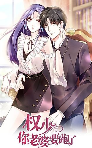 Cover image for The Runaway Wife