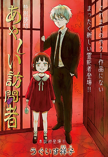Cover image for The Suspicious Visitor