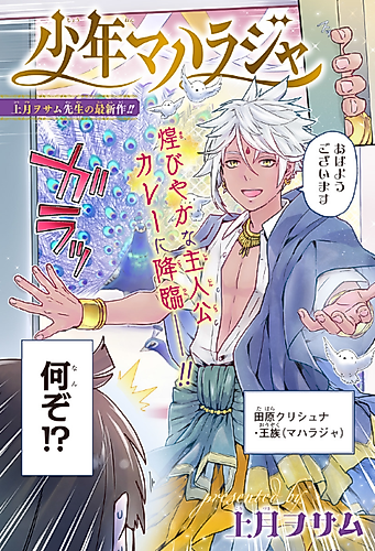 Cover image for Shounen Maharaja