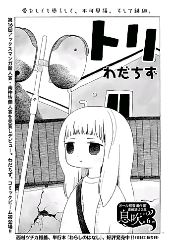 Cover image for Tori