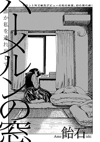 Cover image for Hamelin's Window