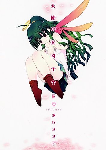 Cover image for The Angel's Obstinacy