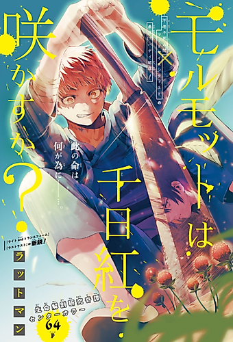 Cover image for Marmot wa Sennichikou wo Sakasu ka?