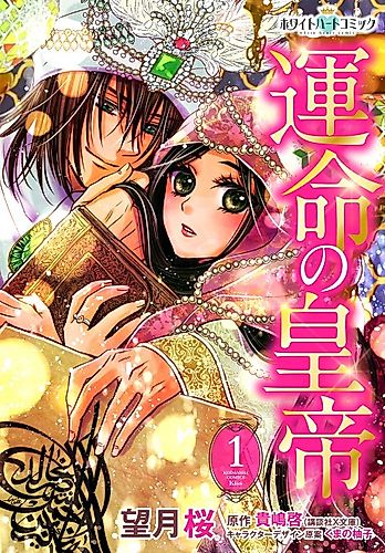 Cover image for Unmei no Koutei